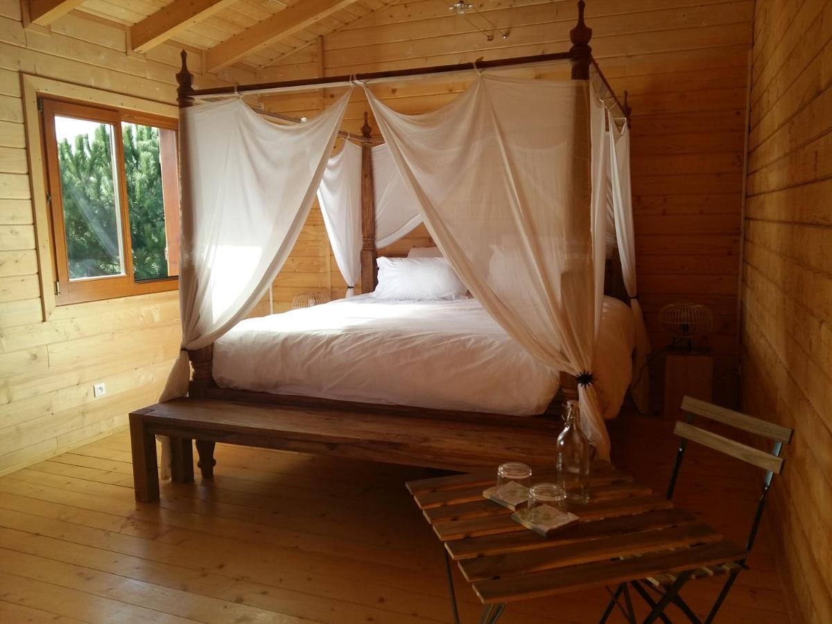Ecolodge Bellevue Альби Экстерьер фото